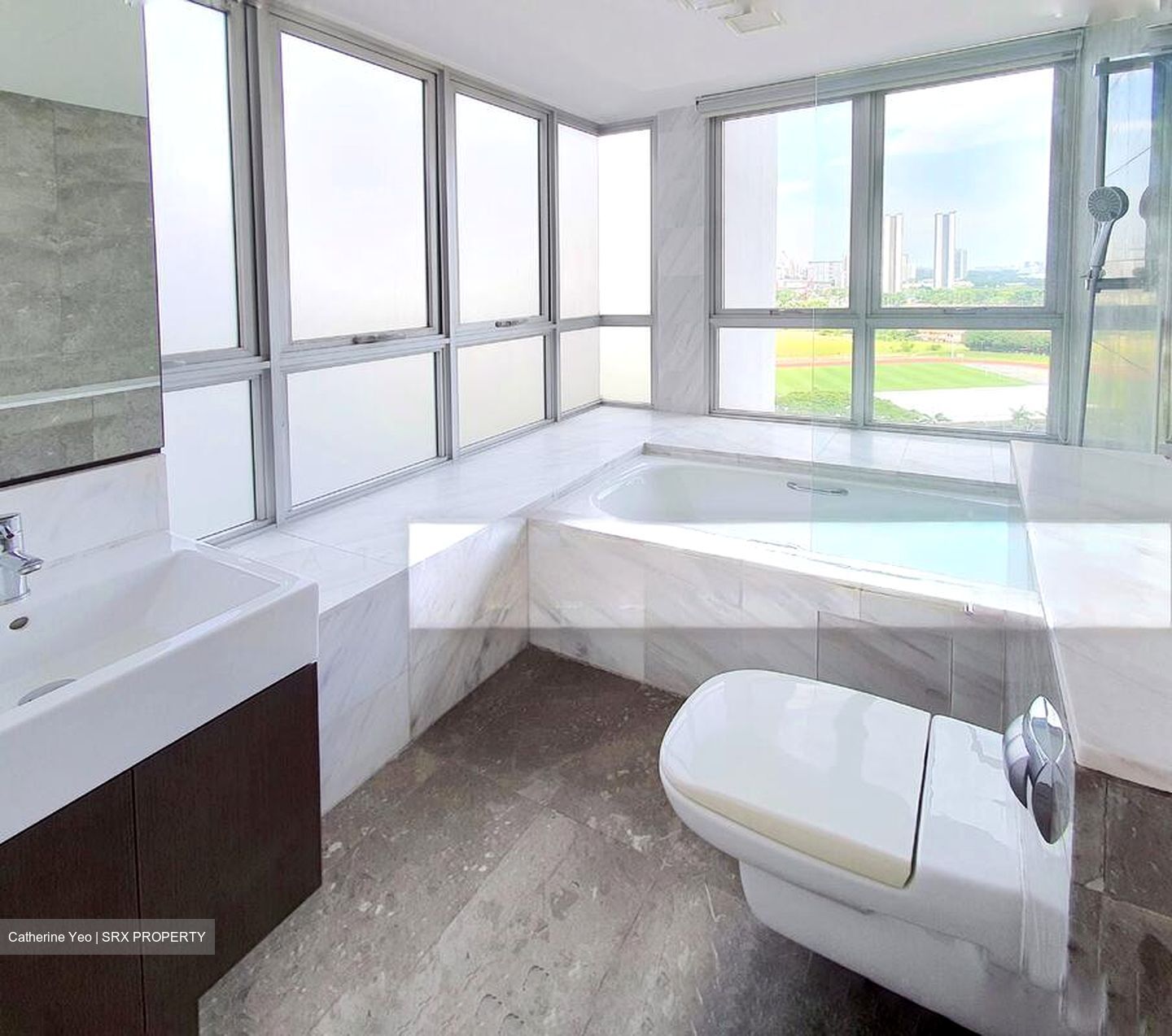 The Parc Condominium (D5), Condominium #502530441